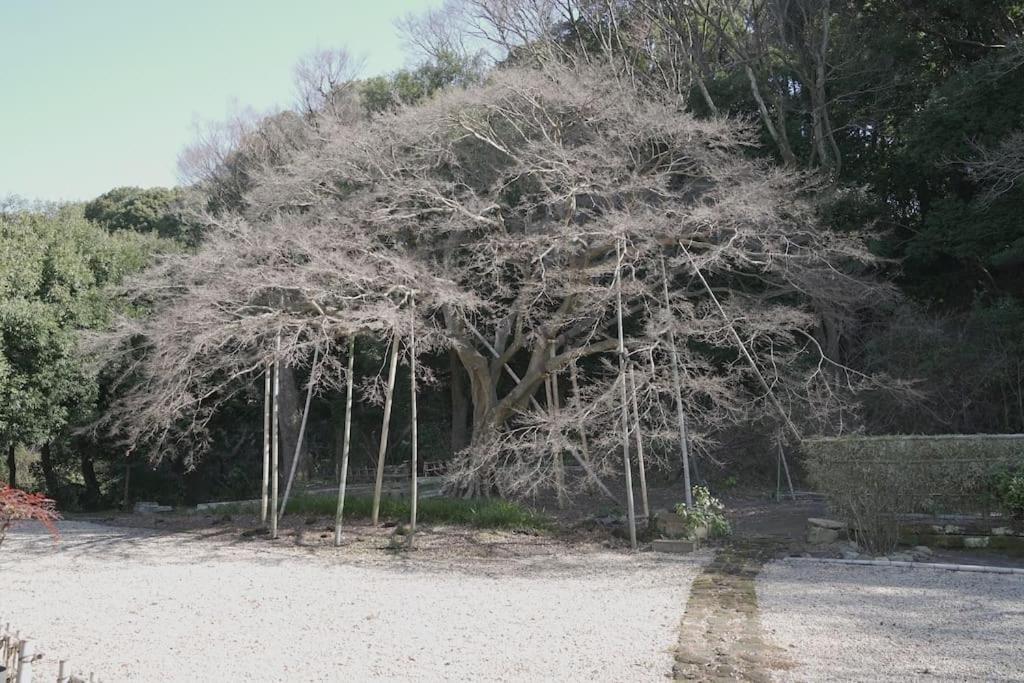 Villa 甘糟屋敷 Amakasu Yashiki Kamakura Extérieur photo